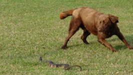 family reunion 2006 019.jpg