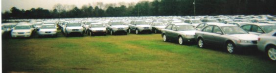 04-03-2007 08;03;49PM.JPG