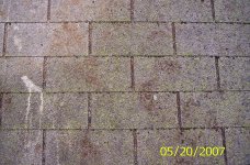 pictures12-24-06-2-25-07 010.jpg