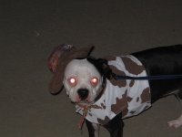 halloween party 146.jpg