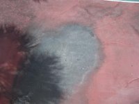 100_0717 (Medium).JPG