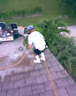 Walton6 (Medium).jpg