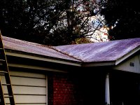 roof cleaning brandon florida 005.jpg