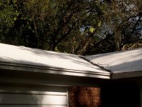 roof cleaning brandon florida 007.jpg