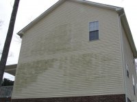 Grandis 001 (Small).jpg