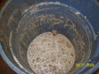 100_0069 [640x480].JPG