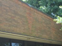 commercial job 001.jpg