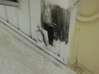 22008 017 (Medium).jpg