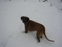 lesley's camera 080 (Small).jpg