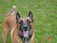 content's of home 461.jpg