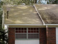 Tampa Roof Cleaning 002.jpg