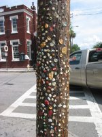 gum on pole.JPG