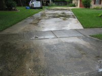 misc 1 007 (Medium).jpg