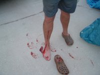 HoldYerShinUpKid 003.jpg