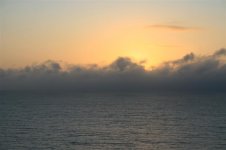 Picture 115 (Medium).jpg