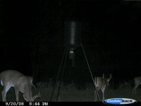 BACKYARD 9-22 002.jpg