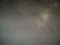 Northern Virginia and Maryland - Fall run 018.JPG