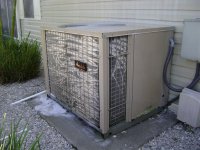 11-6-2008 020 (Medium).jpg