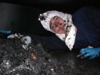 Am I done yet dad.jpg