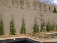 Job Site Pictures 007.jpg