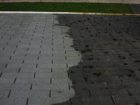 clean that roof 2.png