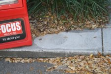 IMG_1136 [800x600].JPG