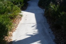 IMG_1133 [800x600].JPG