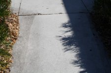 IMG_1132 [800x600].JPG