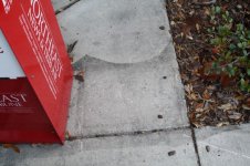 IMG_1128 [800x600].JPG