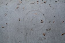 IMG_1127 [640x480].JPG