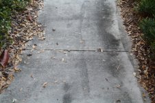 IMG_1129 [800x600].JPG