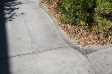 IMG_1130 [800x600].JPG