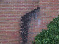 scout abd hensons 029 (Medium).jpg