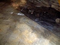 DSCF0088a (Small).JPG