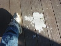 Pelican poop on Ipe.jpg