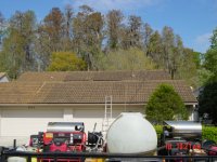 roof cleaning palm harbor before.jpg