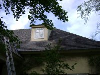 aprile 09 cleaning 012.JPG