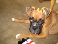 camera 12-26-07 019.JPG