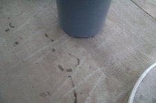 Williams Arizona (5).jpg