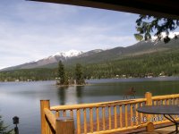 swan roof 015 (1408 x 1056).jpg