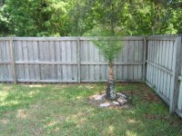 DSCF2306 [Desktop Resolution].JPG