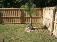 DSCF2319 [Desktop Resolution].JPG