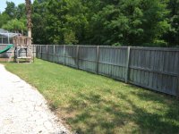 DSCF2307 [Desktop Resolution].JPG