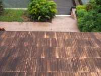 Roof Cleaning Westshore.JPG