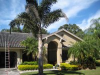 Palm Harbor Roof FL Cleaning 002.JPG