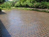 pavers3.jpg