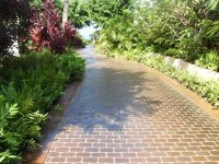 paver5.jpg