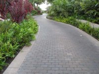 paver4.jpg