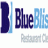 BlueBliss